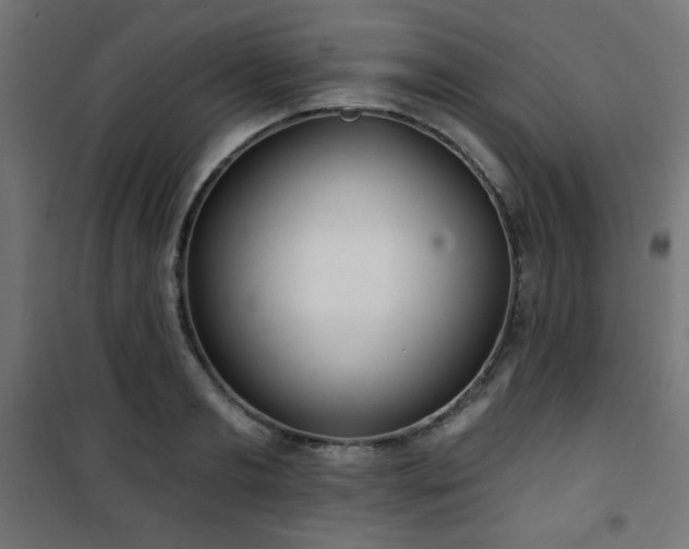 X0000101470893200807141348