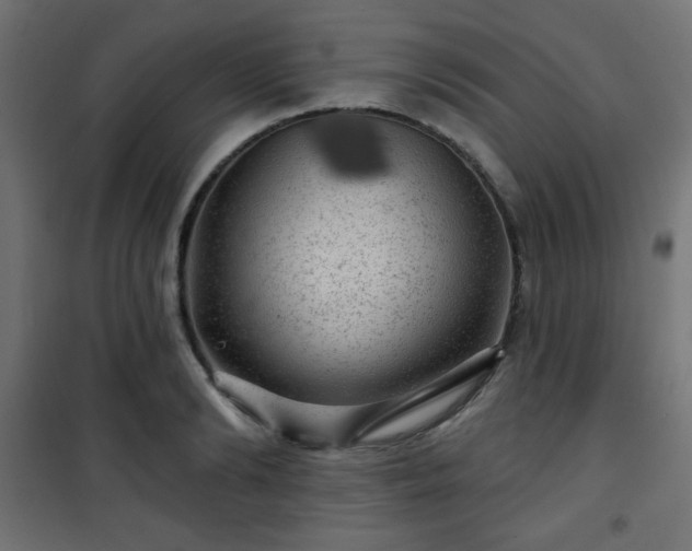 X0000101470894200807141348