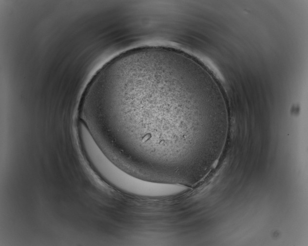 X0000101470895200807141348