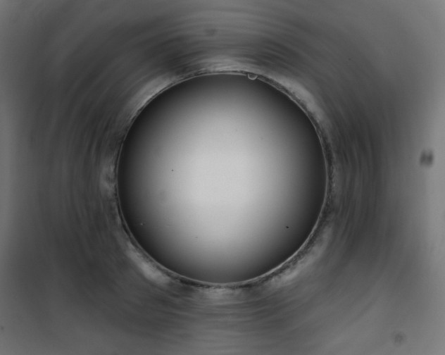 X0000101470897200807141348