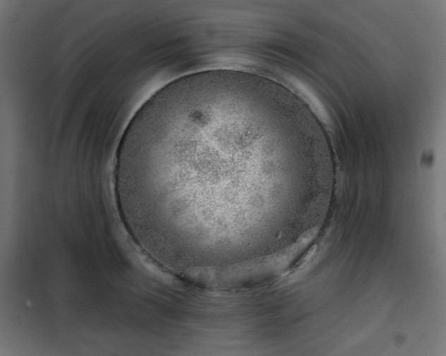 X0000101470899200807141348