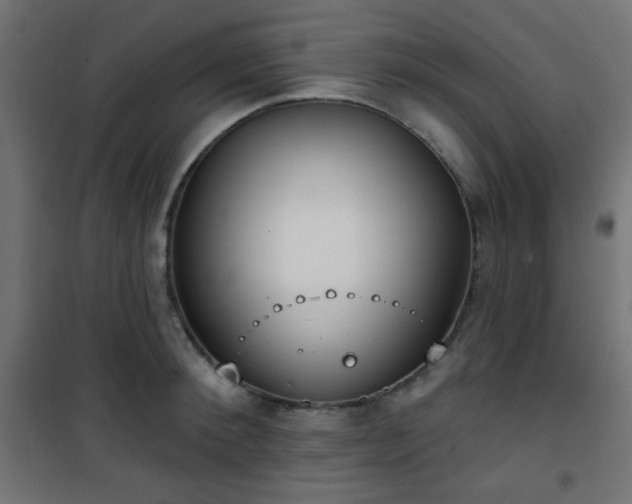 X0000101470900200807141348