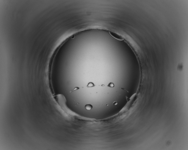 X0000101470902200807141348