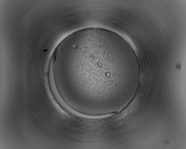 X0000101470903200807141348