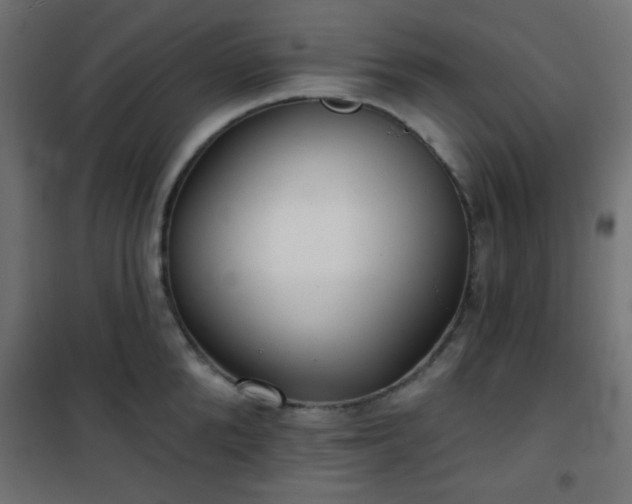 X0000101470904200807141348