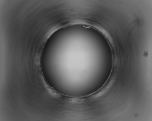 X0000101470905200807141348