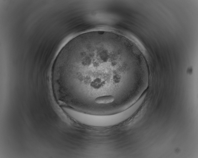 X0000101470907200807141348