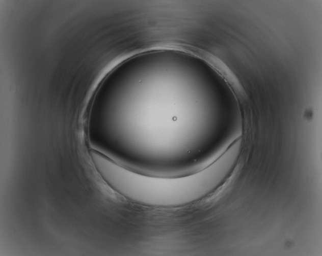 X0000101470908200807141348