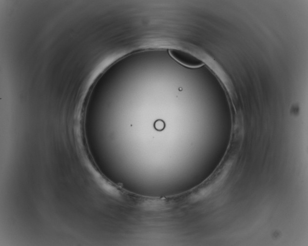 X0000101470909200807141348