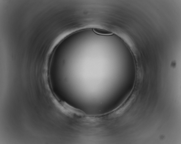 X0000101470910200807141348