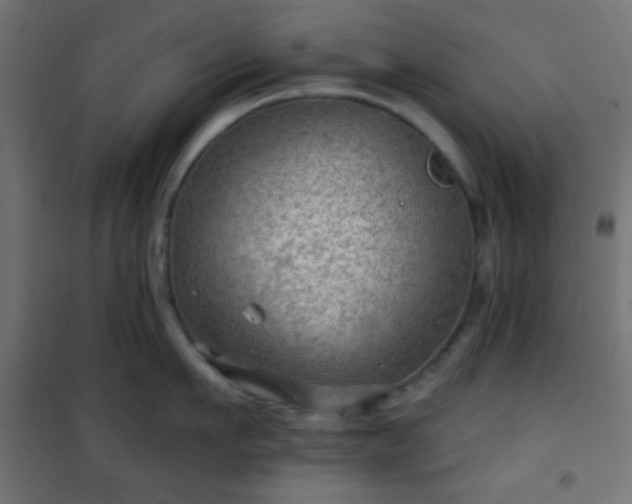 X0000101470911200807141348