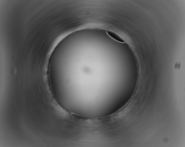 X0000101470912200807141348