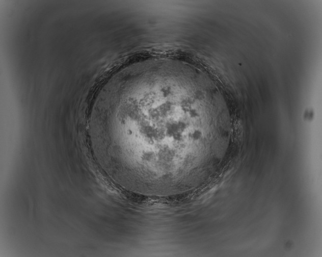 X0000101470913200807141347