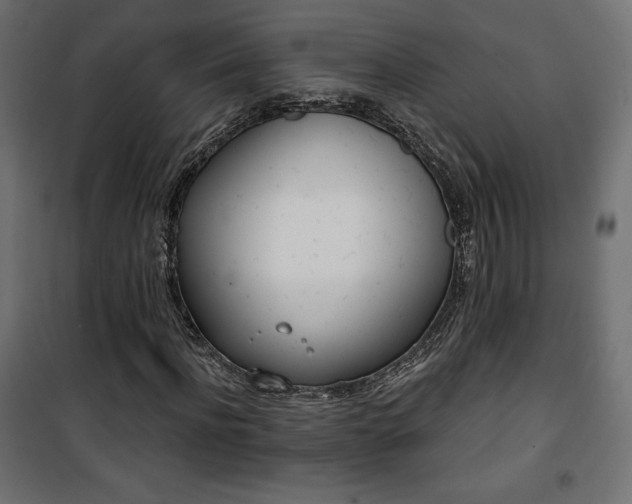 X0000101470916200807141347