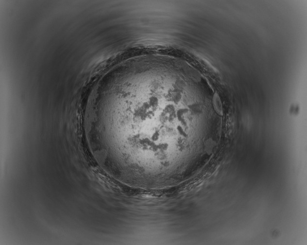 X0000101470917200807141347