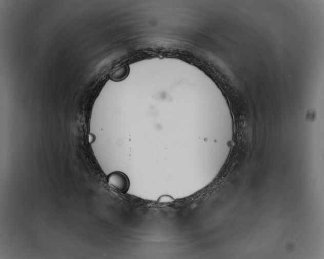 X0000101470918200807141347