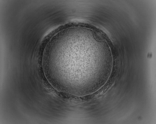 X0000101470919200807141347