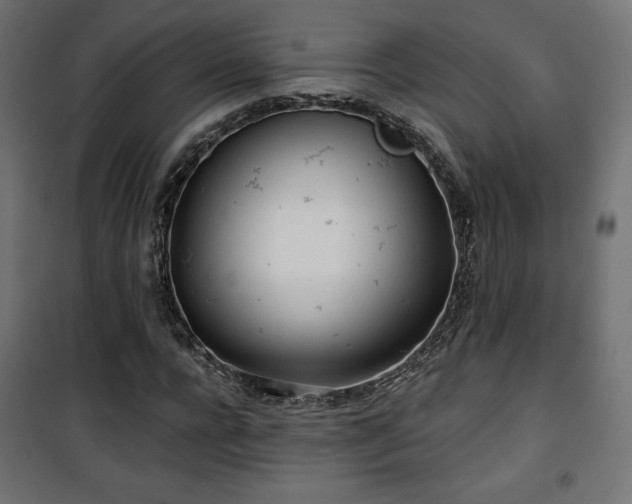 X0000101470920200807141347