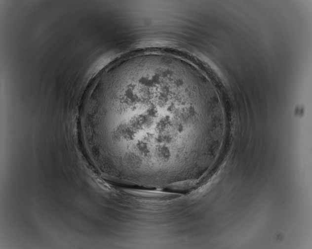 X0000101470921200807141347