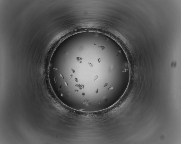 X0000101470922200807141347