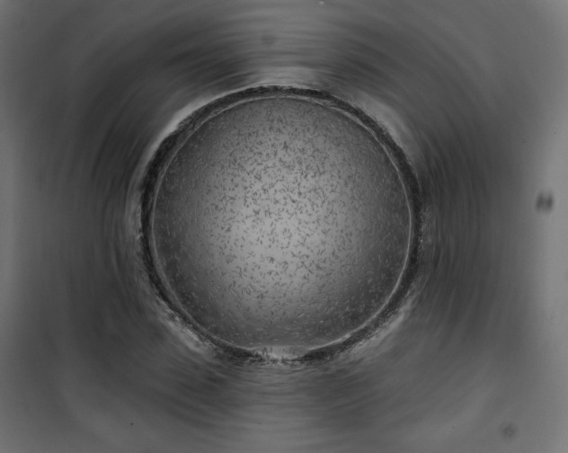 X0000101470923200807141347