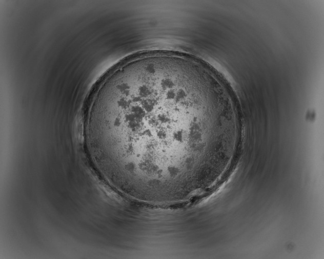 X0000101470925200807141347