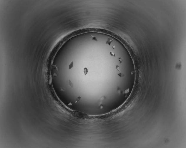 X0000101470926200807141347