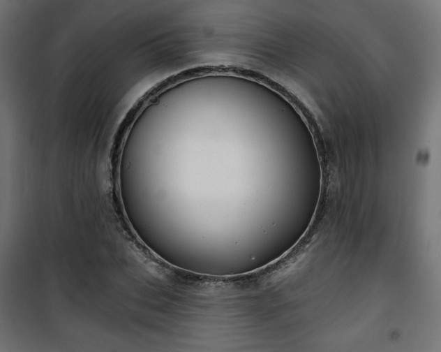 X0000101470927200807141347