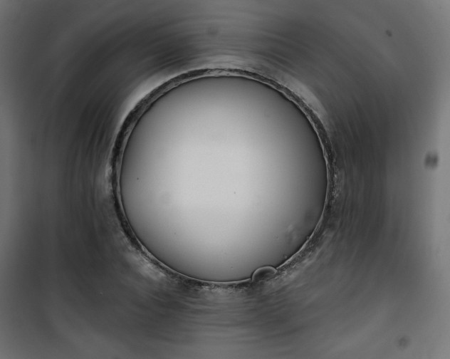 X0000101470928200807141347