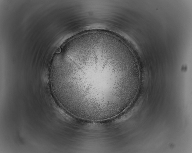 X0000101470929200807141347