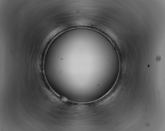 X0000101470930200807141347