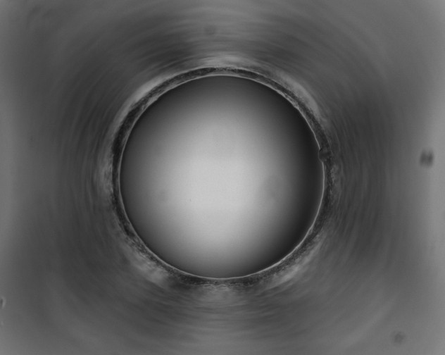 X0000101470931200807141347