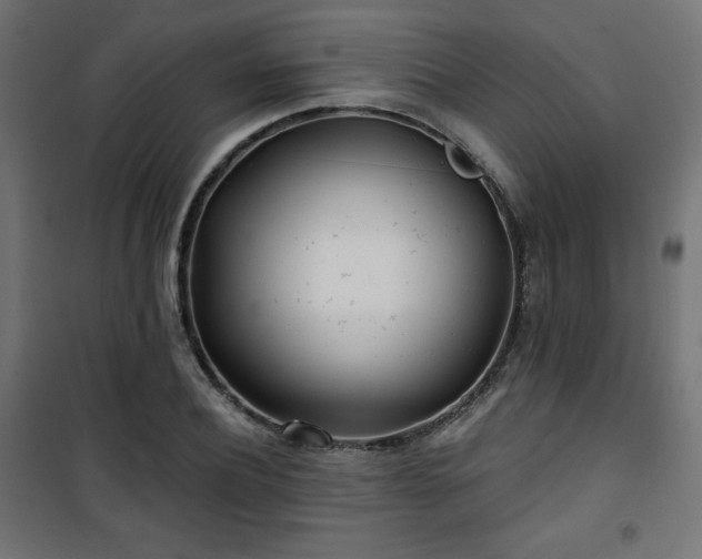 X0000101470932200807141347