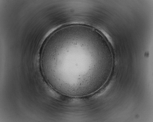 X0000101470933200807141347