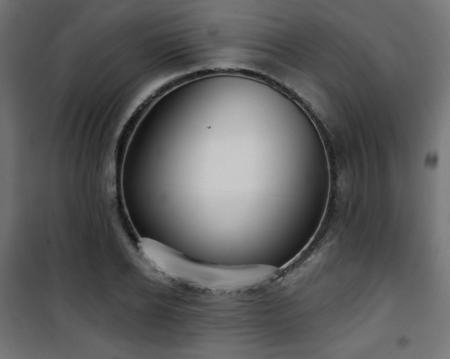 X0000101470934200807141347