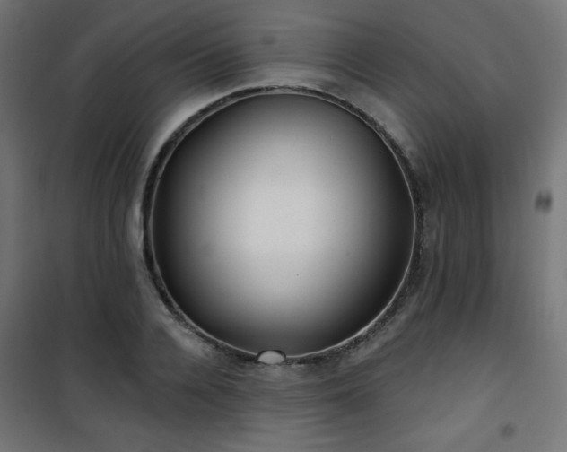 X0000101470936200807141347