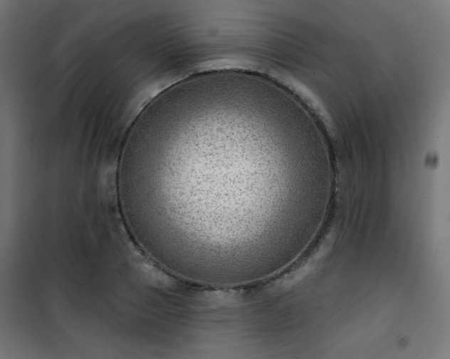 X0000101470937200807141347