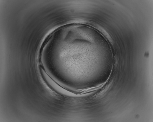 X0000101470939200807141347