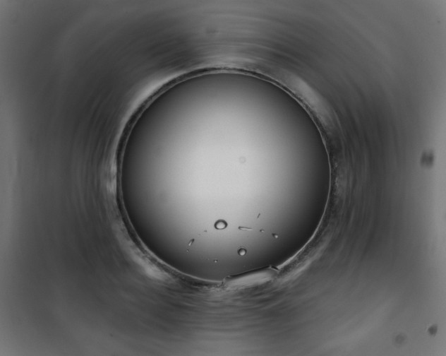 X0000101470940200807141347