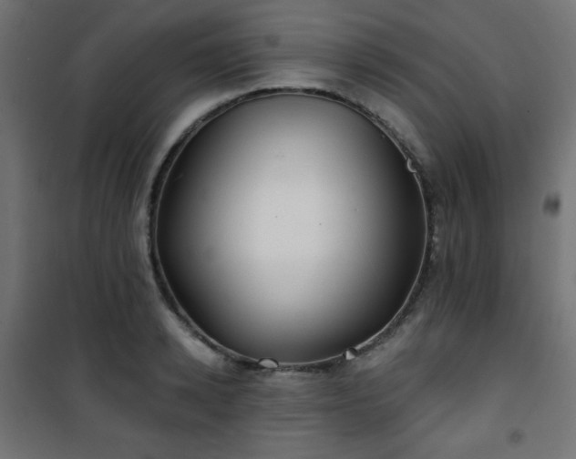 X0000101470942200807141347