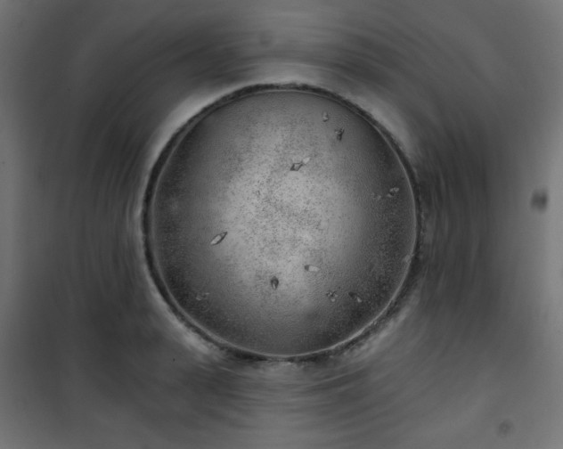 X0000101470943200807141347