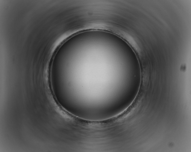 X0000101470944200807141347