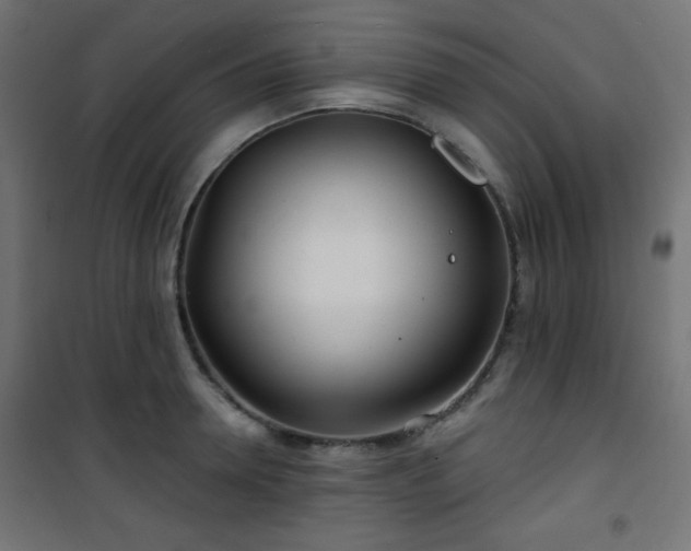 X0000101470946200807141347