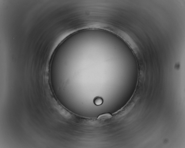 X0000101470948200807141347