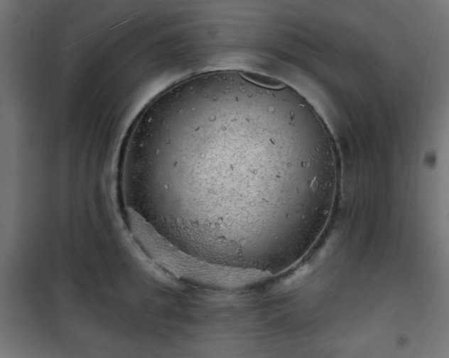 X0000101470949200807141347