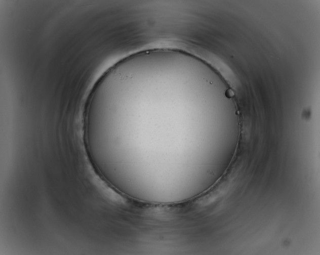 X0000101470950200807141347