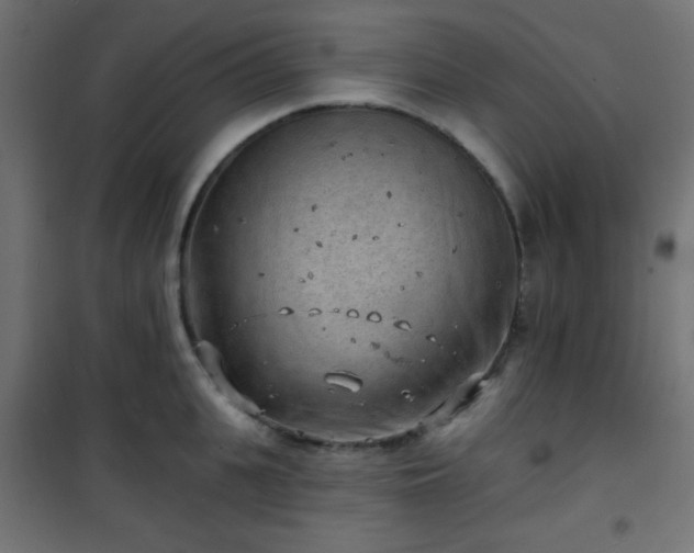 X0000101470951200807141347