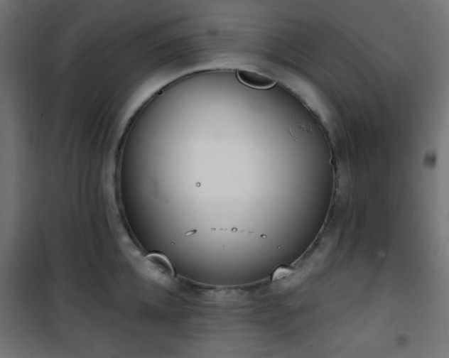 X0000101470952200807141347