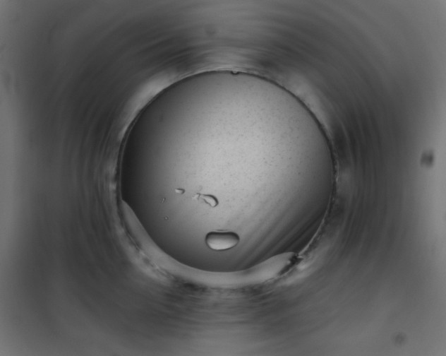 X0000101470954200807141347