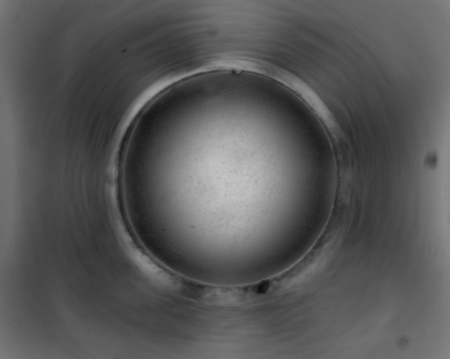 X0000101470955200807141347